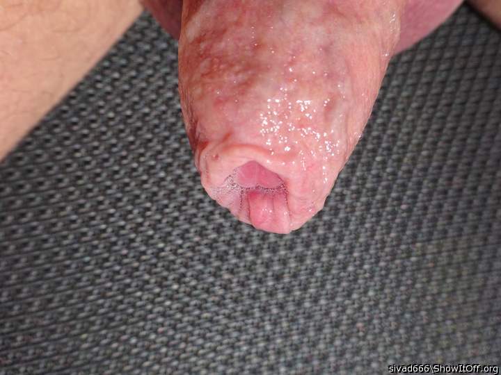 Photo of a bat from sivad666