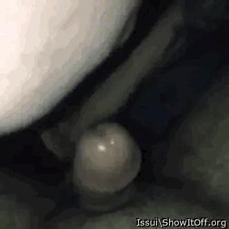 Photo of a penis from Issui