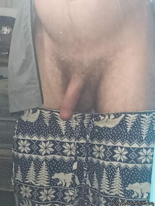 Photo of a cavalier from Strife69