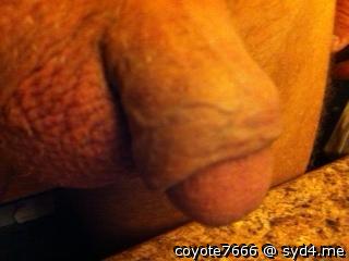 Photo of a jackhammer from coyote7666