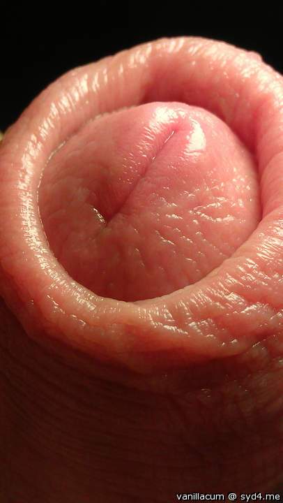 Photo of a dong from Vanillacum