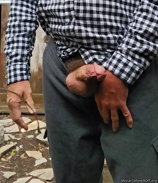My cock
