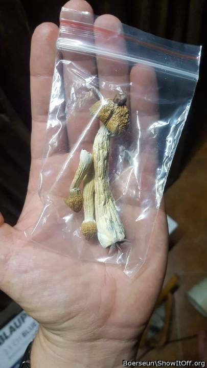 Magic mushrooms