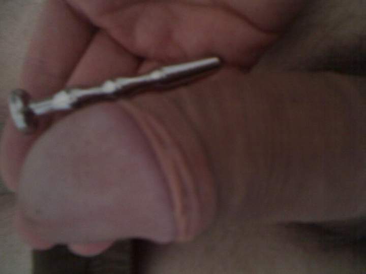 Photo of a dong from xander69