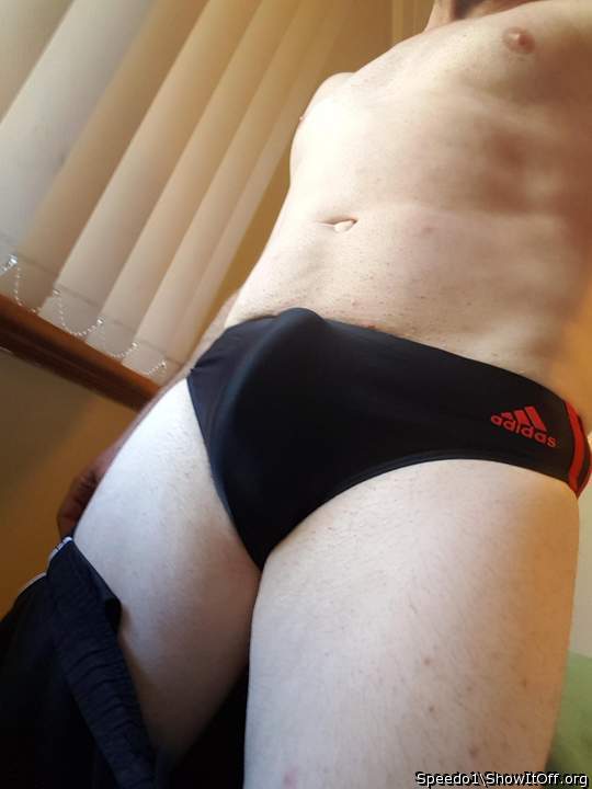 Photo of a snake from Speedo1