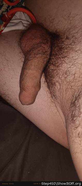 Photo of a cavalier from Step450