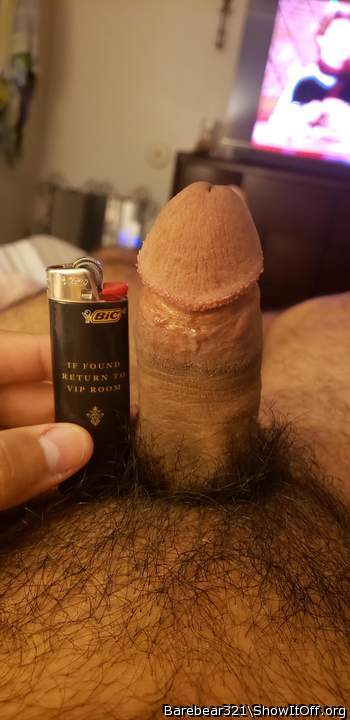 Photo of a bat from Barebear321