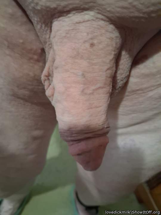 Photo of a cavalier from lovedickmilk