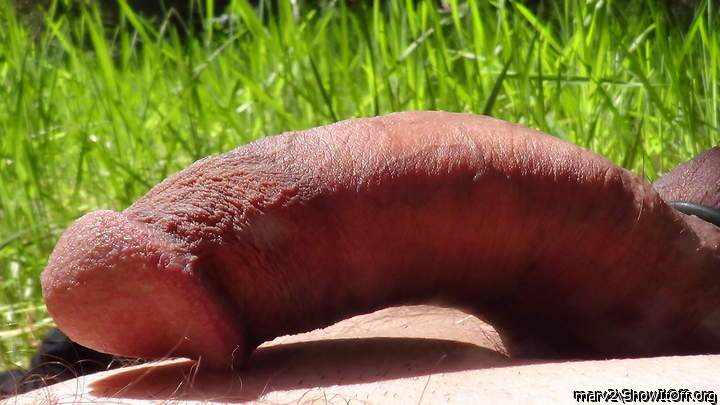 Nicely sunburnt....big knob and neat wrinkling over the circ