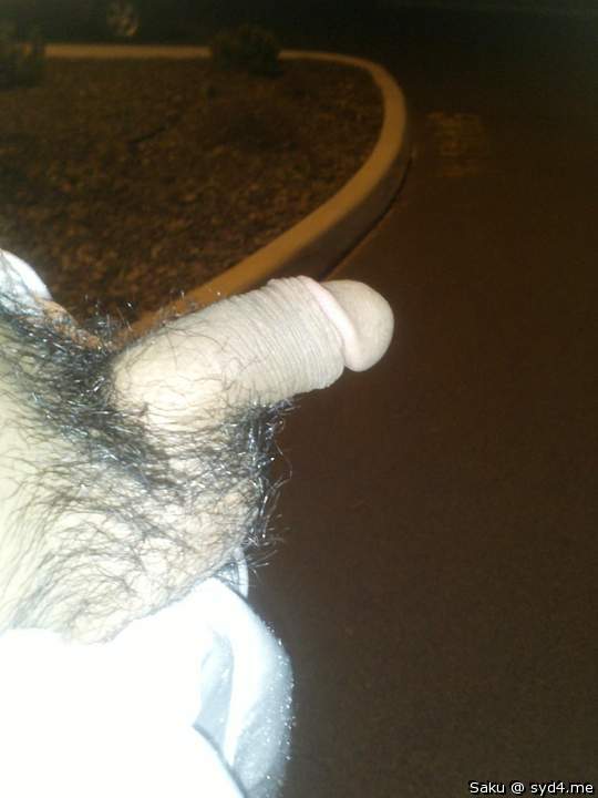 Photo of a phallus from Saku