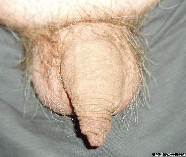 My uncut dick is hanging in front of my panties ...