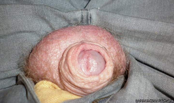 Unzipped