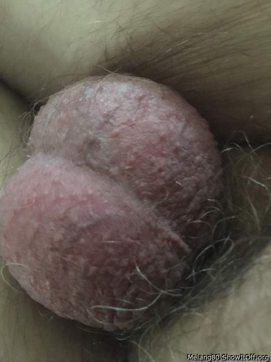 Testicles Photo from Melang80