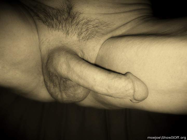 My sepia toned penis.....