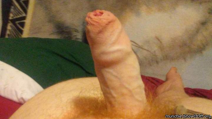 Photo of a rooster from Munchie
