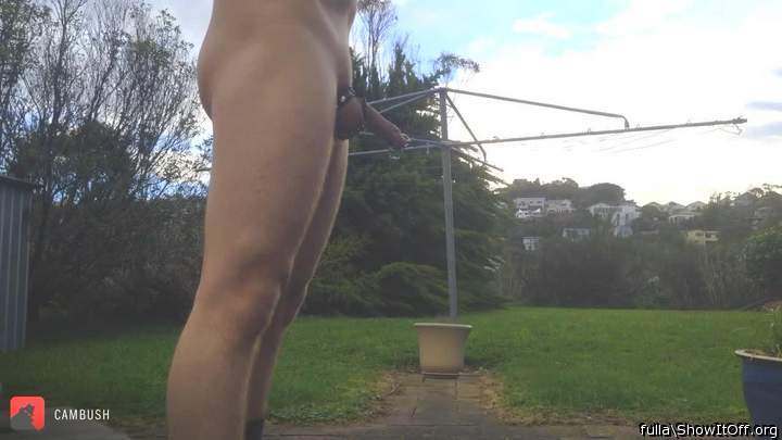 Pierced cock in public
