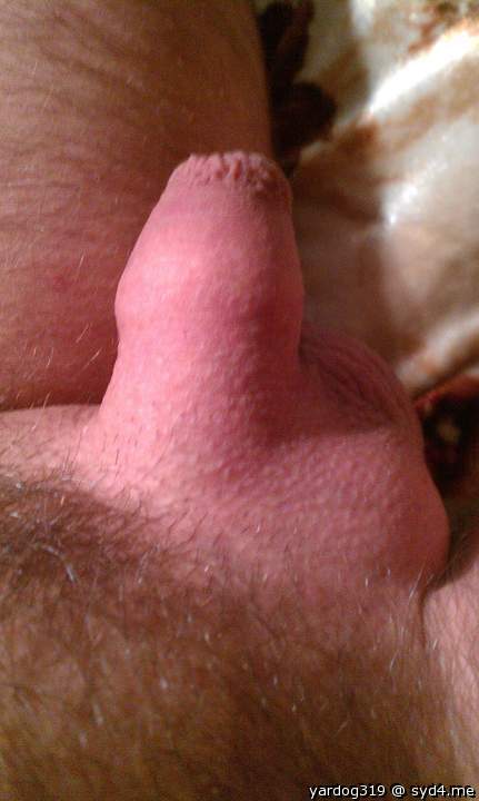 Photo of a member from yardog319