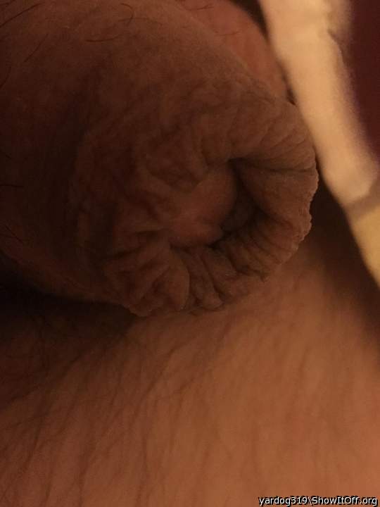 Photo of a short leg from yardog319