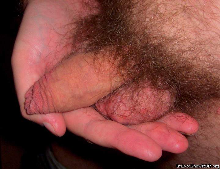 Flaccid penis