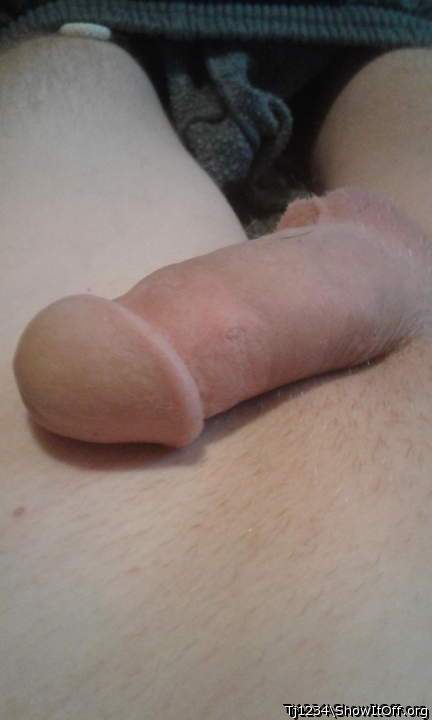 Photo of a middle leg from Tj1234