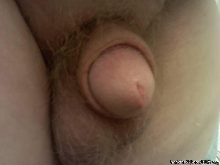 Photo of a horn from hankthe2