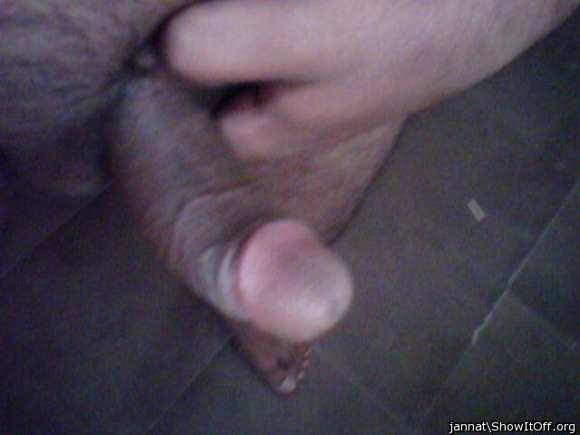 penis
