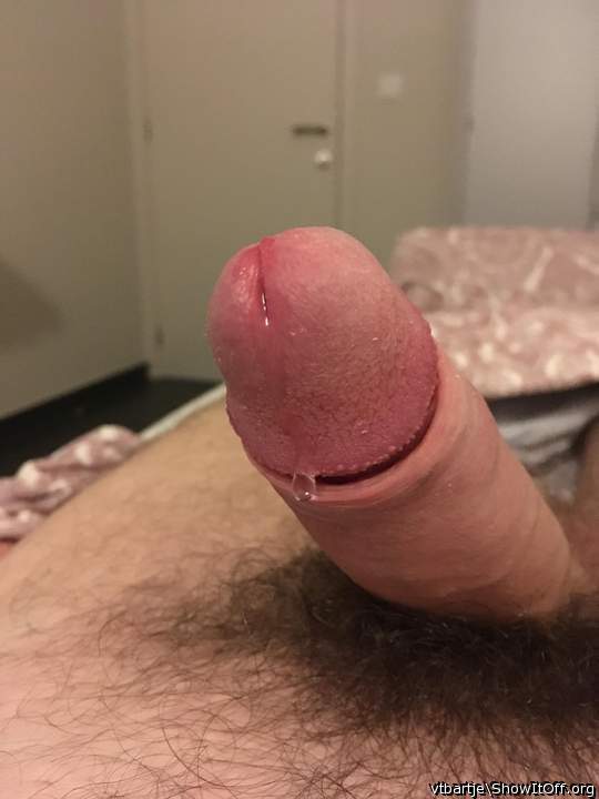 Photo of a dick from vtbartje