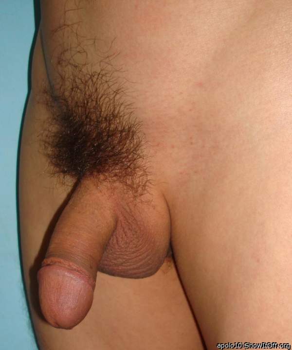 Photo of a sausage from apolo10