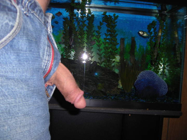 Photo of a private part from pj007