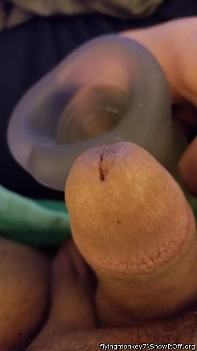 Photo of a stiffie from flyingmonkey7