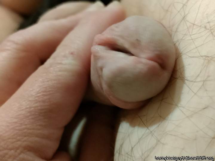 Photo of a tool from hornykiwiguy2