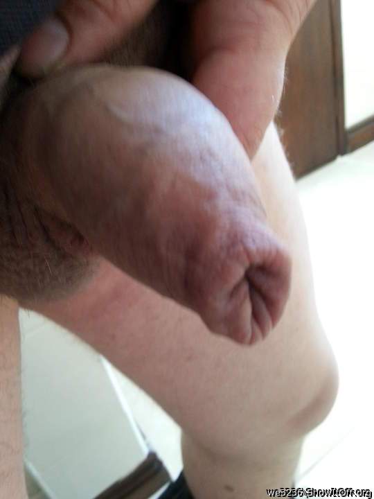 anyone fir a nibble?