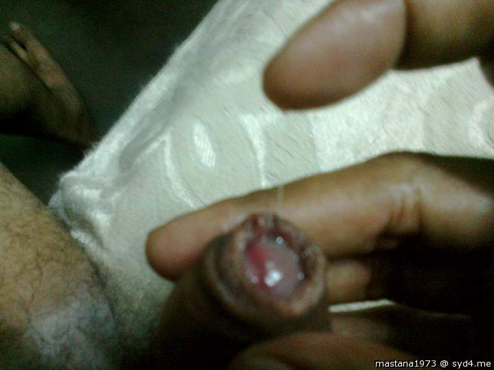 Photo of a third leg from mastana1973