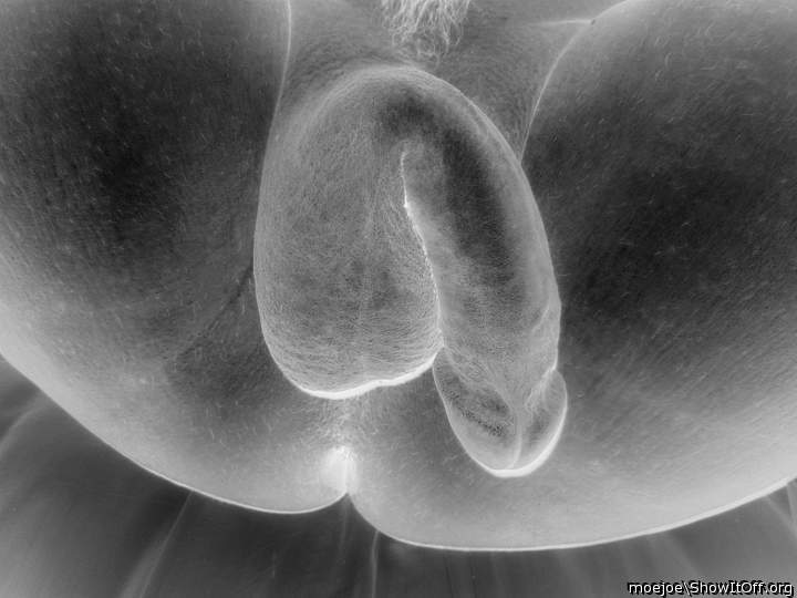 A negative view of my floppy cock...