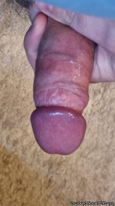 Photo of a stiffie from Drucker