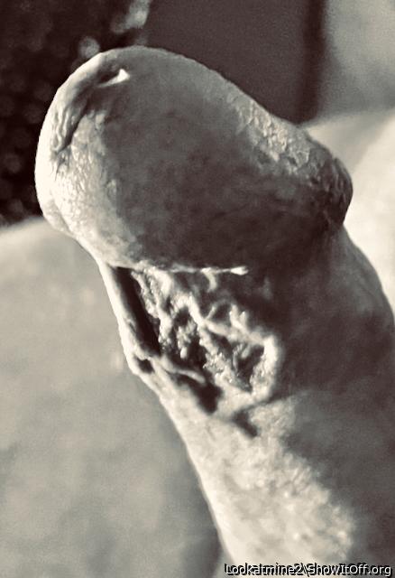 Frenulum Textures