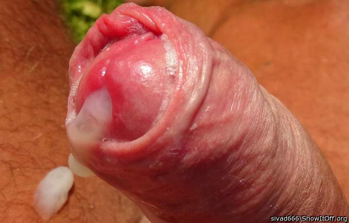 Photo of a bald-headed mouse from sivad666
