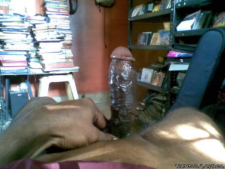 Photo of a lizard from 8darkchoco