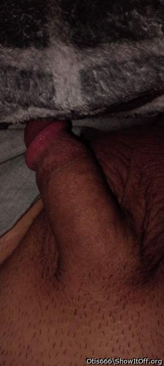 Photo of a boner from Otis666