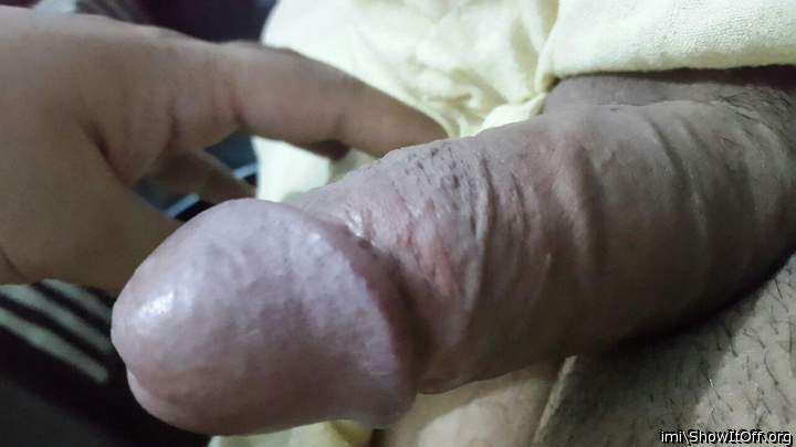 Photo of a bald-headed mouse from imi