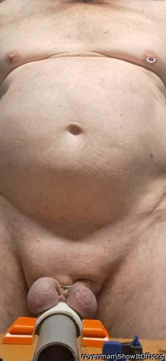 Testicles Photo from roverman