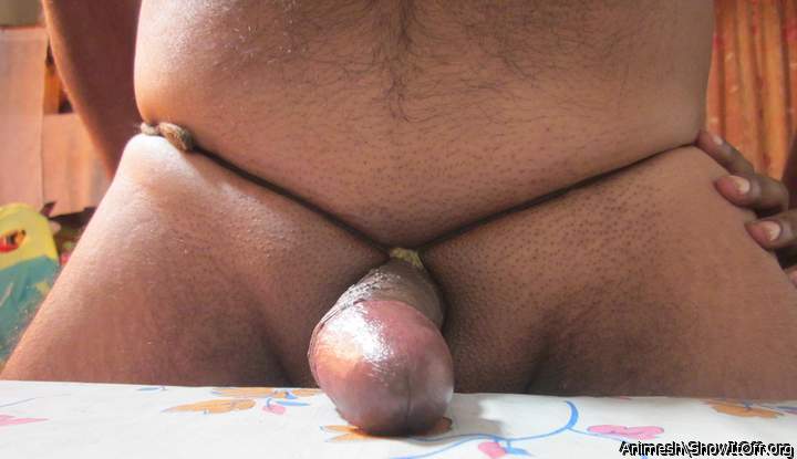 Photo of a short leg from Animesh