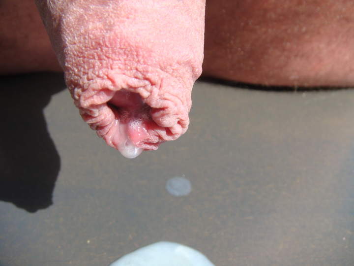 Photo of a one-eyed monster from sivad666