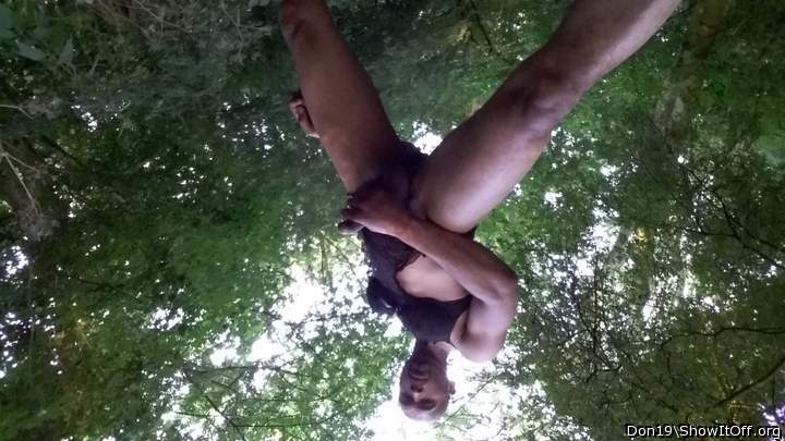 Photo of a tool from Don19