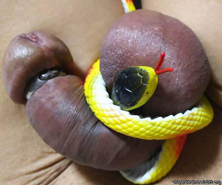 My pet.