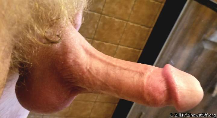 Shower Snake