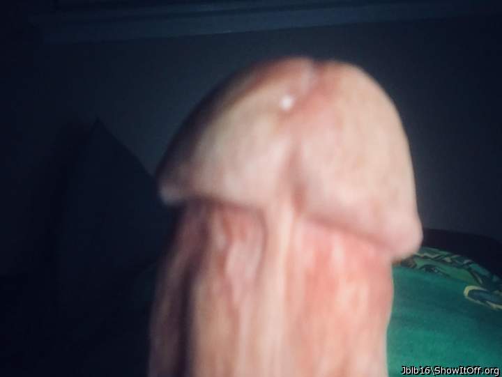 Photo of a weasel from Jblb16