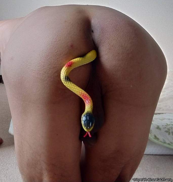 My pet.
