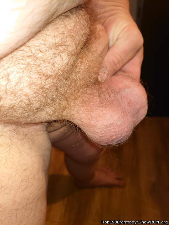 Testicles Photo from Rob1988farmboy