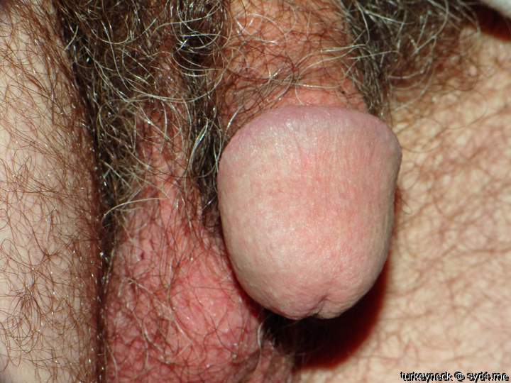 Photo of a love wand from turkeyneck